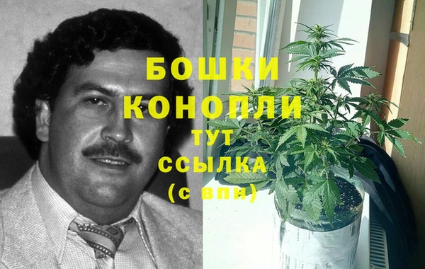 СК Алексеевка